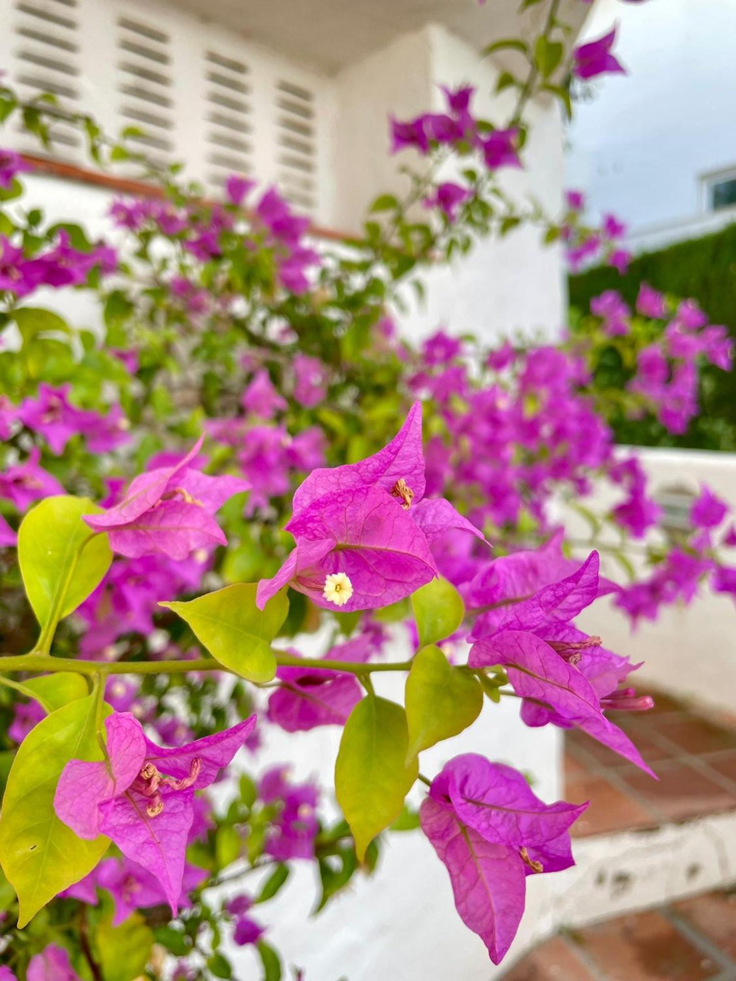 Sun Castle Apartment Fuengirola Exterior photo
